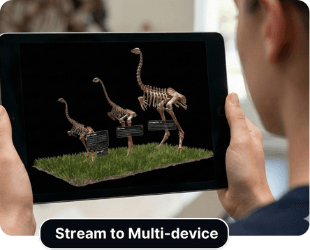 Stream to multi-devices